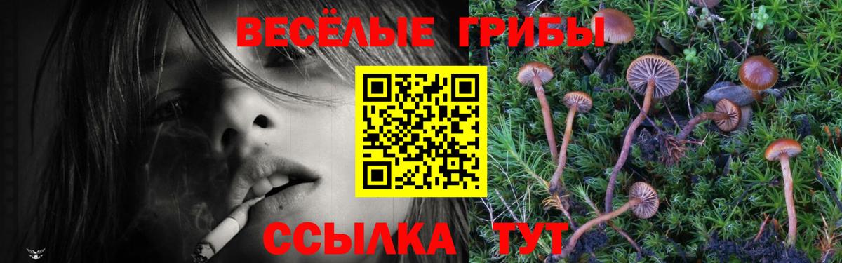 Псилоцибиновые грибы Cubensis  Псилоцибиновые грибы MAGIC MUSHROOMS  Вход с VPN  Арсеньев 